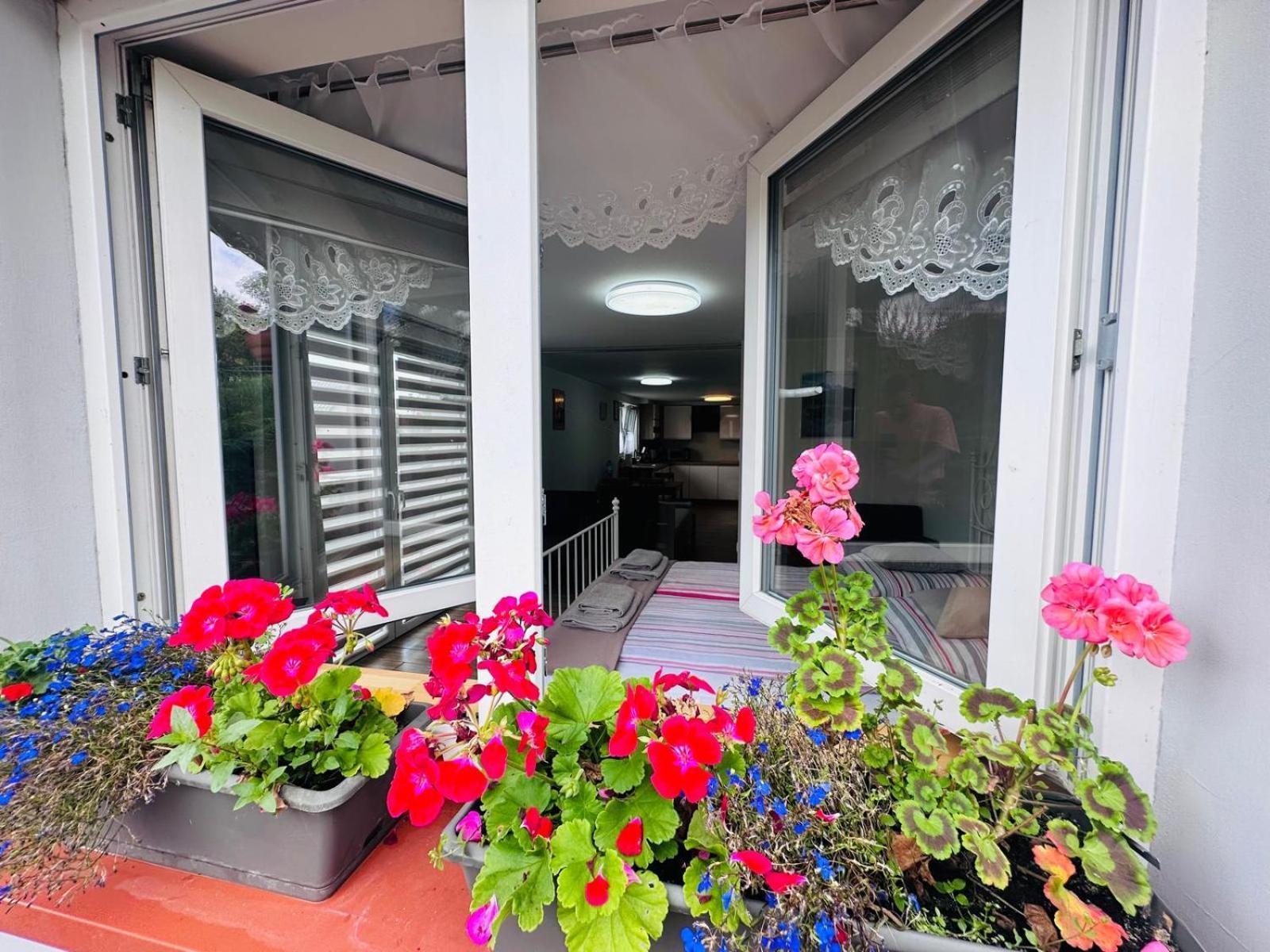 Apartament Bukowy Kłodzko Exterior foto